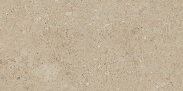 Керамогранит NP02 30,6x60,9x8 Непол. (Керамический гранит)-10