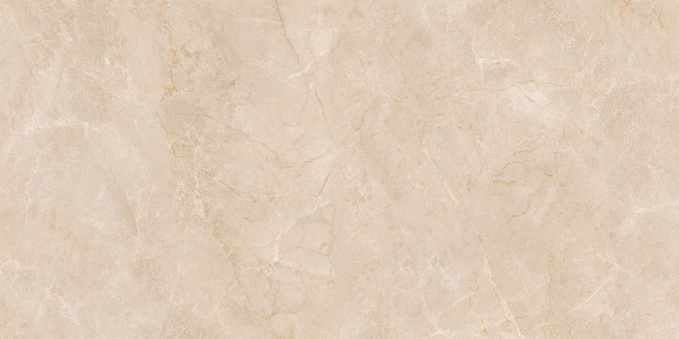 Керамогранит EXM301 60x120x9 Непол.Рект. (Керамический гранит) #6