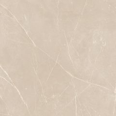 Керамогранит NL01 60x60x9 Полир. (Керамический гранит) #9