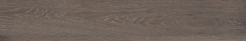 Керамогранит  BG01 19,4x120x10 Непол.Рект. (Керамический гранит) _10