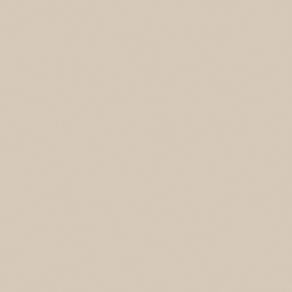 Керамогранит RW01 60x60x9 Непол.Рект. (Керамический гранит)-1