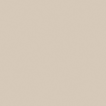 Керамогранит  RW10 60x60x9 Непол.Рект. (Керамический гранит) 