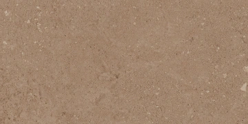 Керамогранит  NP02 30,6x60,9x8 Непол. (Керамический гранит) _1