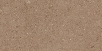 Керамогранит  NP02 30,6x60,9x8 Непол. (Керамический гранит) _8