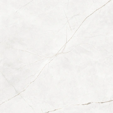 Керамогранит  LF00 60x60 Непол.Рект. (Керамический гранит) _17