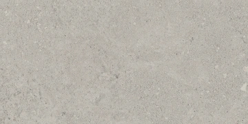 NP01 30,6x60,9x8 Непол. (Керамический гранит)_1