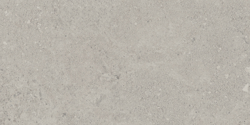 Керамогранит NP01 30,6x60,9x8 Непол. (Керамический гранит)-2