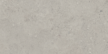 Керамогранит NP01 30,6x60,9x8 Непол. (Керамический гранит)-7