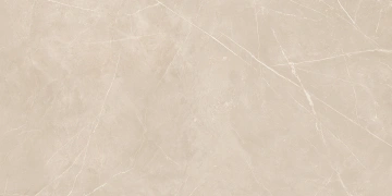 Керамогранит  NL04 60x60x10 Непол.Рект. (Керамический гранит) _3