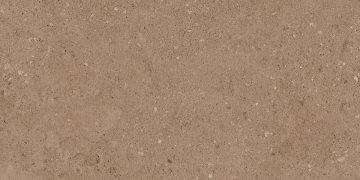 Керамогранит NP03 30,6x60,9x8 Непол. (Керамический гранит)-12