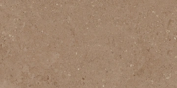 Керамогранит  NP02 30,6x60,9x8 Непол. (Керамический гранит) _11