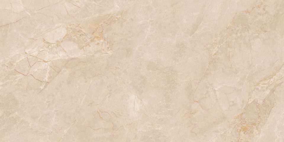 Керамогранит EXM301 60x120x9 Непол.Рект. (Керамический гранит) #3