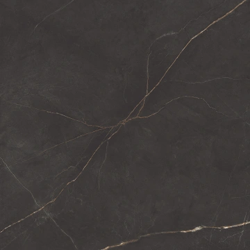 Керамогранит  NL01 60x60x9 Непол.Рект. (Керамический гранит) _15