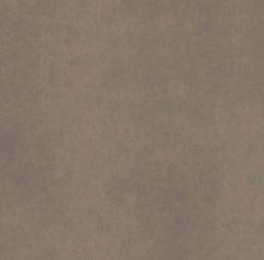 Керамогранит CA04 60x60x10 Непол.Рект. (Керамический гранит) #2