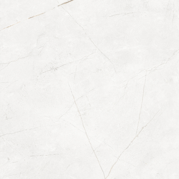 Керамогранит NL00 60x60x9 Непол.Рект. (Керамический гранит)-2